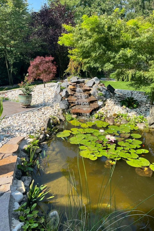 Saliu Garten- und Landschaftsbau – Gartengestaltung und 3D-Visualisierung in Roth und Nürnberg